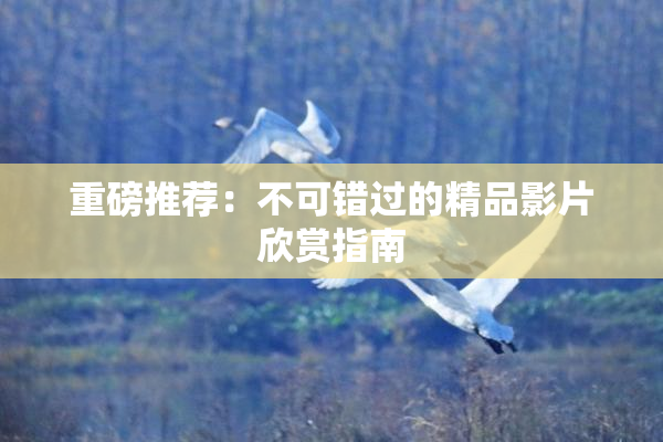 重磅推荐：不可错过的精品影片欣赏指南