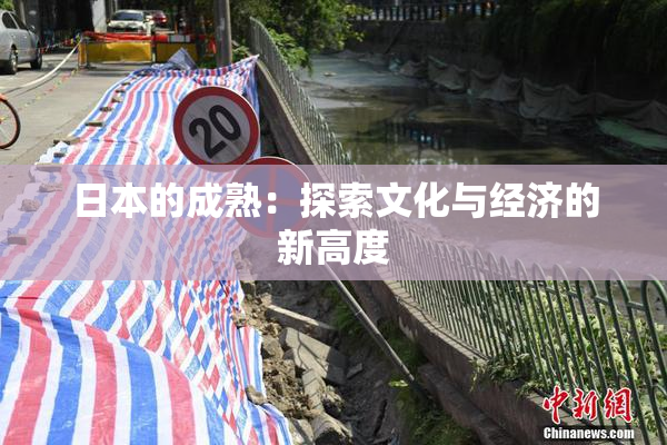 日本的成熟：探索文化与经济的新高度