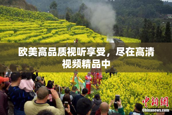 欧美高品质视听享受，尽在高清视频精品中