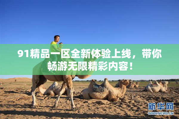 91精品一区全新体验上线，带你畅游无限精彩内容！