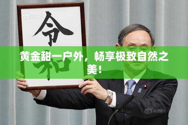 黄金甜一户外，畅享极致自然之美！