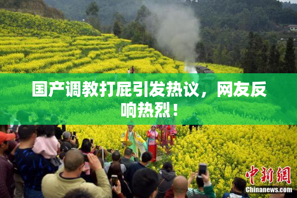 国产调教打屁引发热议，网友反响热烈！