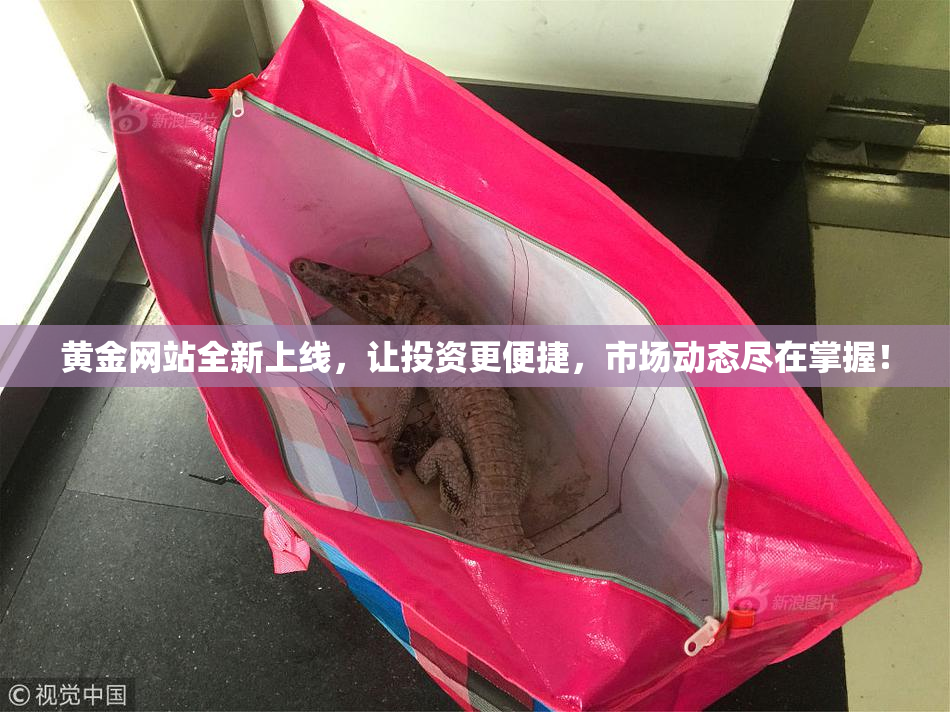 黄金网站全新上线，让投资更便捷，市场动态尽在掌握！