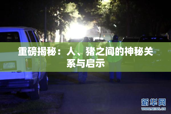 重磅揭秘：人、猪之间的神秘关系与启示