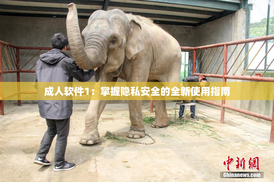 成人软件1：掌握隐私安全的全新使用指南