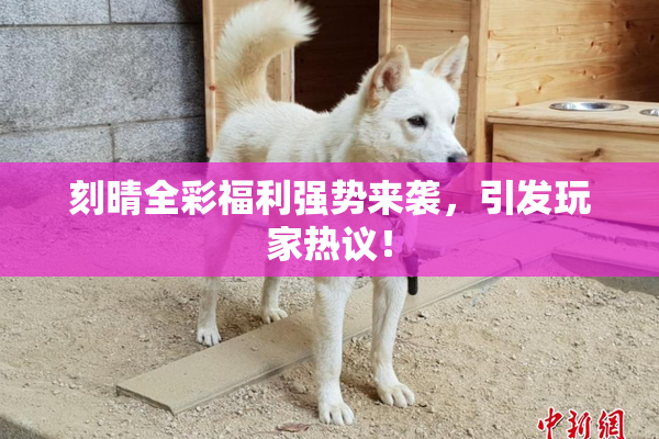 刻晴全彩福利强势来袭，引发玩家热议！