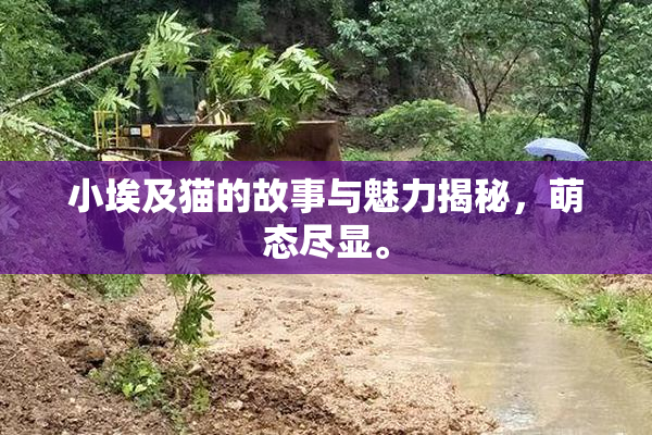 小埃及猫的故事与魅力揭秘，萌态尽显。