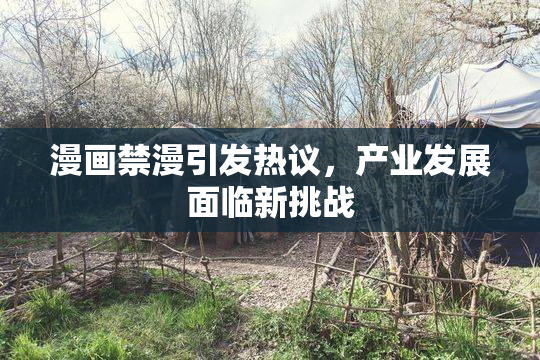 漫画禁漫引发热议，产业发展面临新挑战