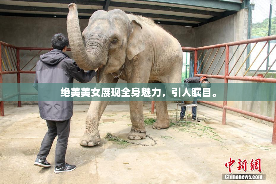 绝美美女展现全身魅力，引人瞩目。