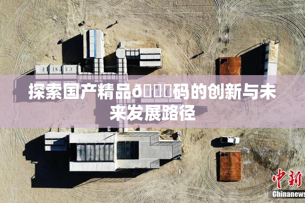 探索国产精品🈚码的创新与未来发展路径