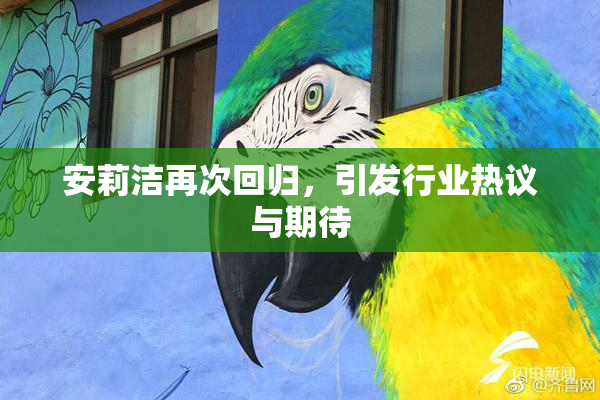 安莉洁再次回归，引发行业热议与期待
