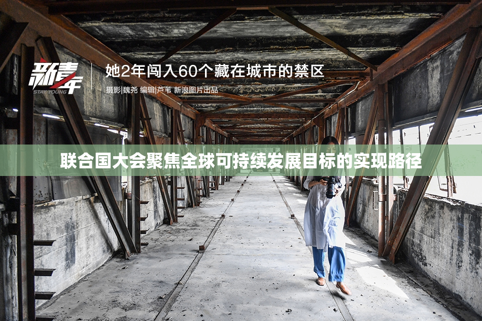 联合国大会聚焦全球可持续发展目标的实现路径