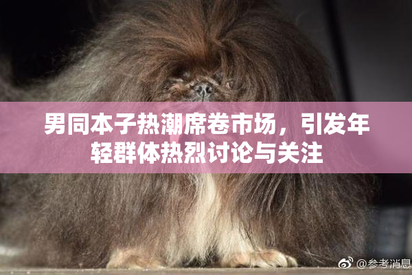 男同本子热潮席卷市场，引发年轻群体热烈讨论与关注