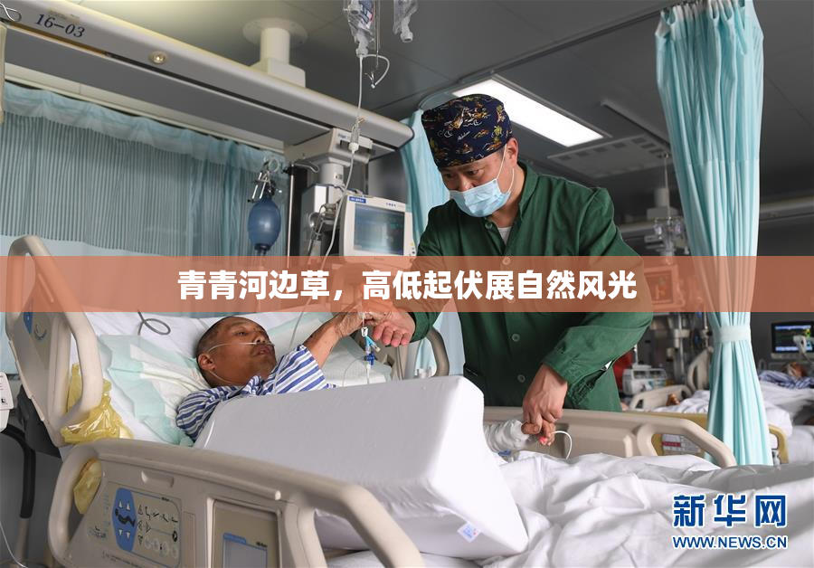 青青河边草，高低起伏展自然风光