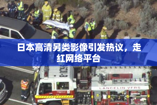 日本高清另类影像引发热议，走红网络平台