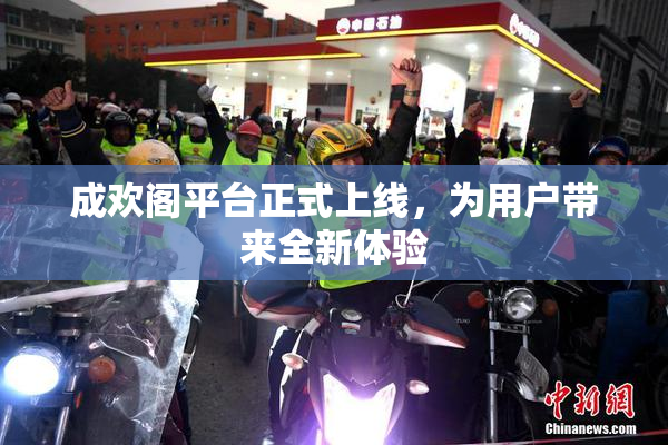 成欢阁平台正式上线，为用户带来全新体验