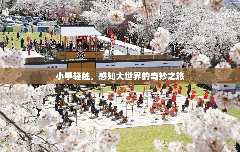 小手轻触，感知大世界的奇妙之旅