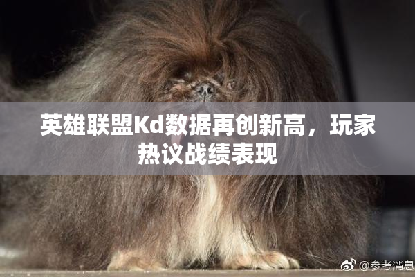 英雄联盟Kd数据再创新高，玩家热议战绩表现
