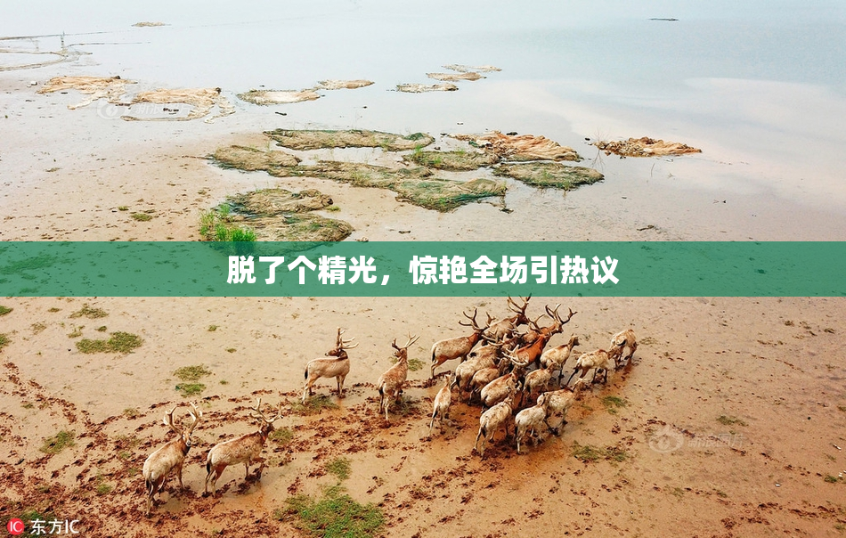 脱了个精光，惊艳全场引热议