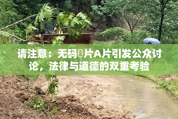 请注意：无码婬片A片引发公众讨论，法律与道德的双重考验