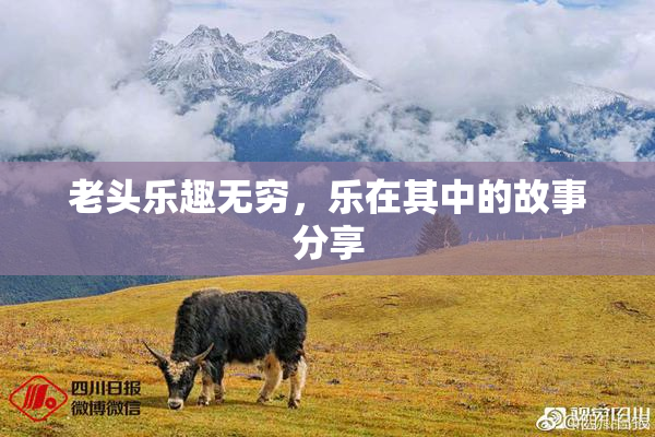 老头乐趣无穷，乐在其中的故事分享