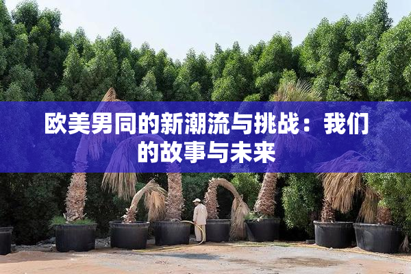 欧美男同的新潮流与挑战：我们的故事与未来