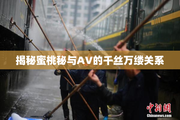 揭秘蜜桃秘与AV的千丝万缕关系