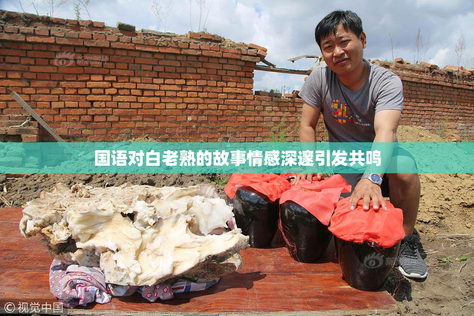 国语对白老熟的故事情感深邃引发共鸣