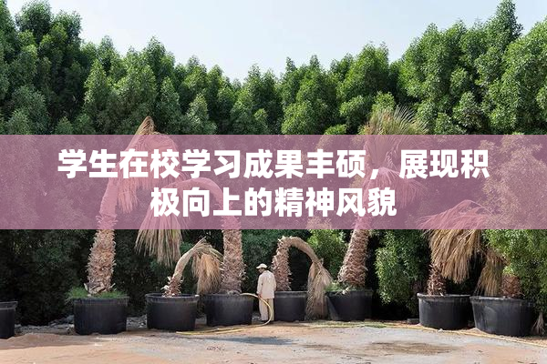 学生在校学习成果丰硕，展现积极向上的精神风貌