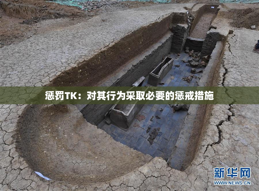 惩罚TK：对其行为采取必要的惩戒措施