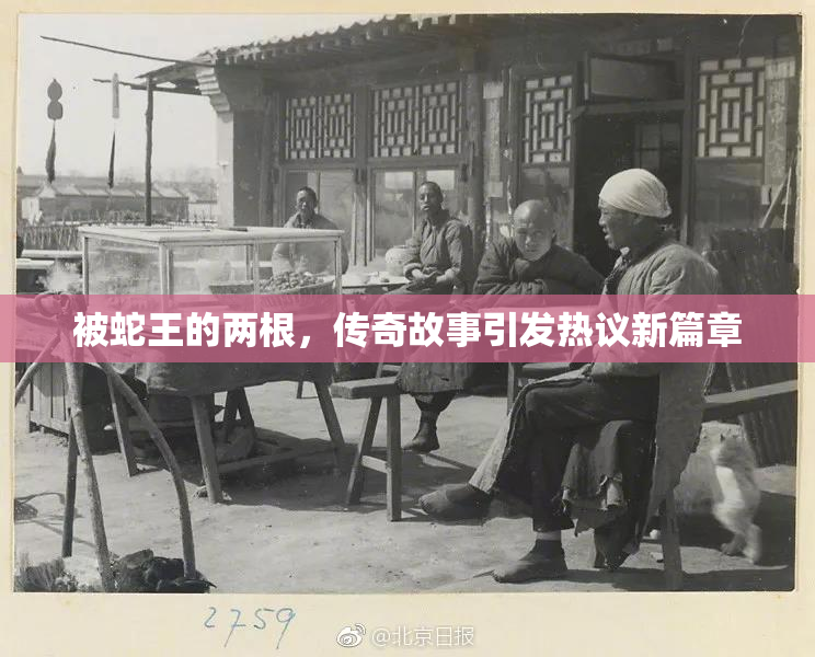 被蛇王的两根，传奇故事引发热议新篇章