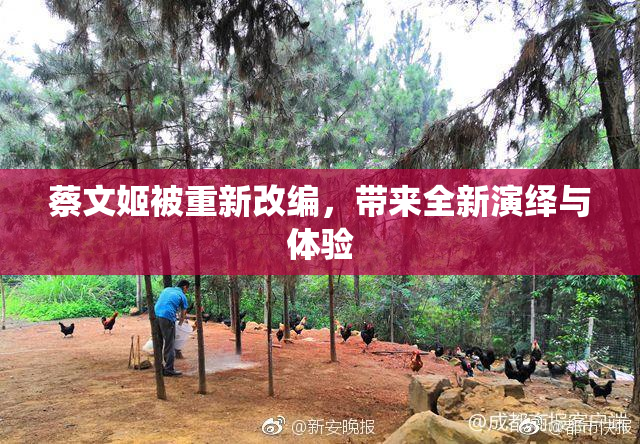 蔡文姬被重新改编，带来全新演绎与体验