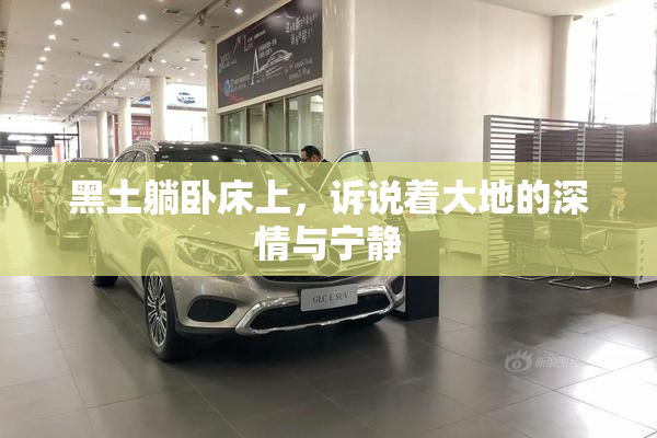 黑土躺卧床上，诉说着大地的深情与宁静