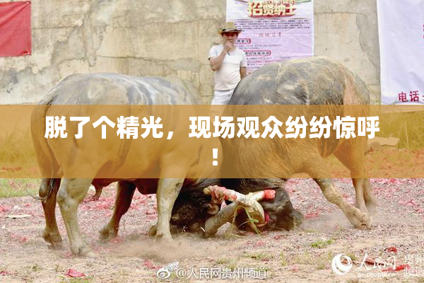 脱了个精光，现场观众纷纷惊呼！