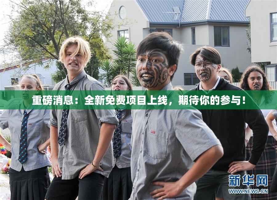 重磅消息：全新免费项目上线，期待你的参与！