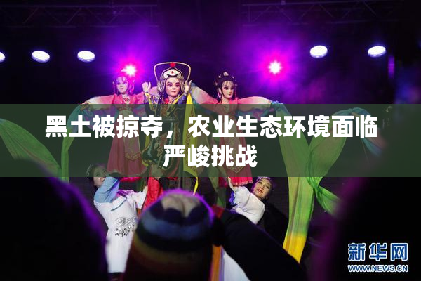 黑土被掠夺，农业生态环境面临严峻挑战