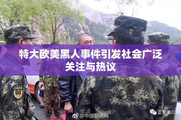 特大欧美黑人事件引发社会广泛关注与热议