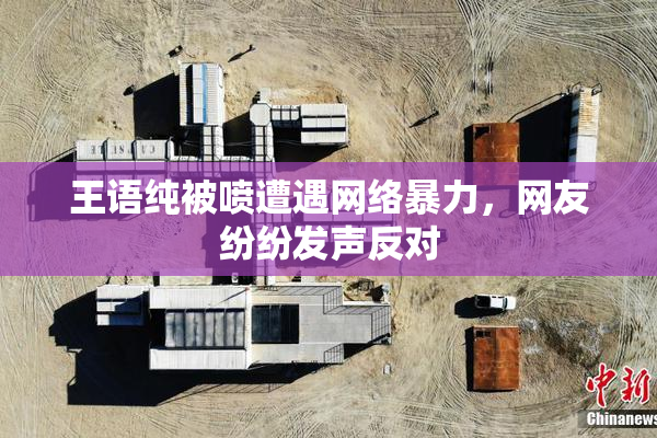 王语纯被喷遭遇网络暴力，网友纷纷发声反对
