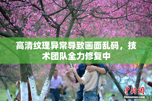 高清纹理异常导致画面乱码，技术团队全力修复中