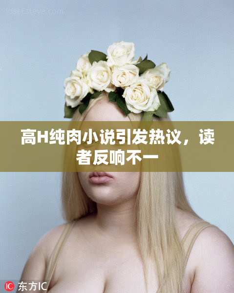 高H纯肉小说引发热议，读者反响不一