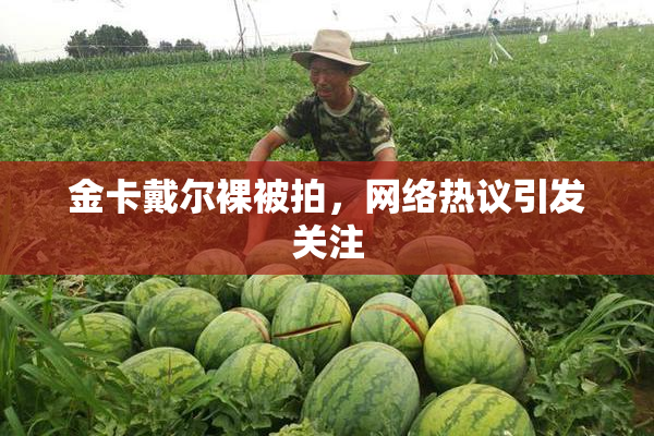 金卡戴尔裸被拍，网络热议引发关注