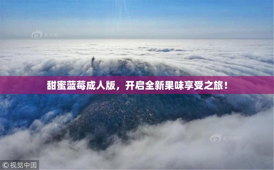甜蜜蓝莓成人版，开启全新果味享受之旅！