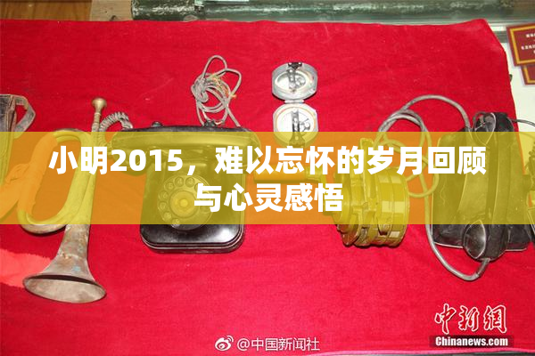 小明2015，难以忘怀的岁月回顾与心灵感悟