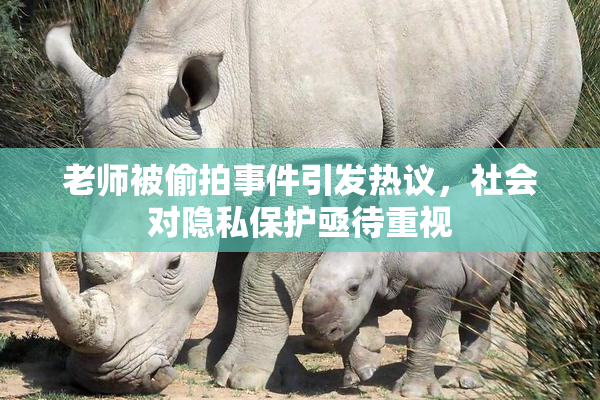 老师被偷拍事件引发热议，社会对隐私保护亟待重视