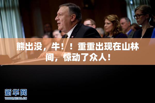 熊出没，牛！！重重出现在山林间，惊动了众人！