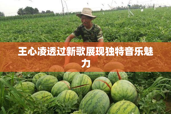 王心凌透过新歌展现独特音乐魅力