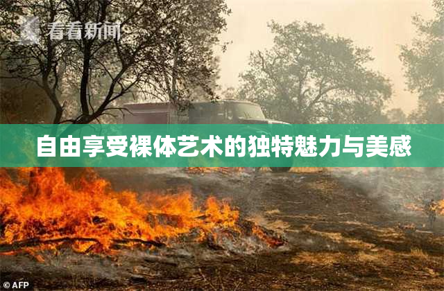 自由享受裸体艺术的独特魅力与美感