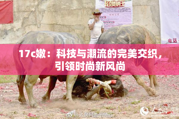 17c嫩：科技与潮流的完美交织，引领时尚新风尚