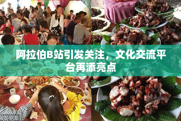 阿拉伯B站引发关注，文化交流平台再添亮点