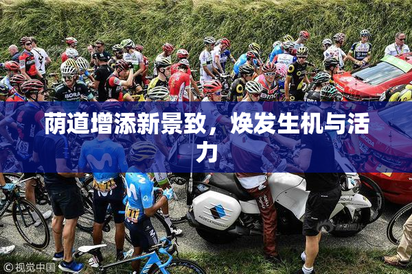 荫道增添新景致，焕发生机与活力
